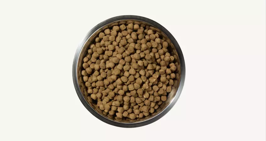 Step up hotsell dry dog food